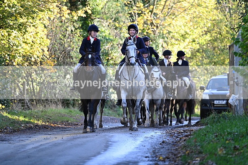 WJ7_8672 - Walk Home