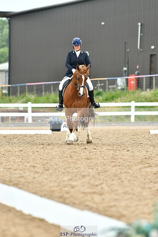 230630A-130454-02281 - Cls 8 Elementary 57