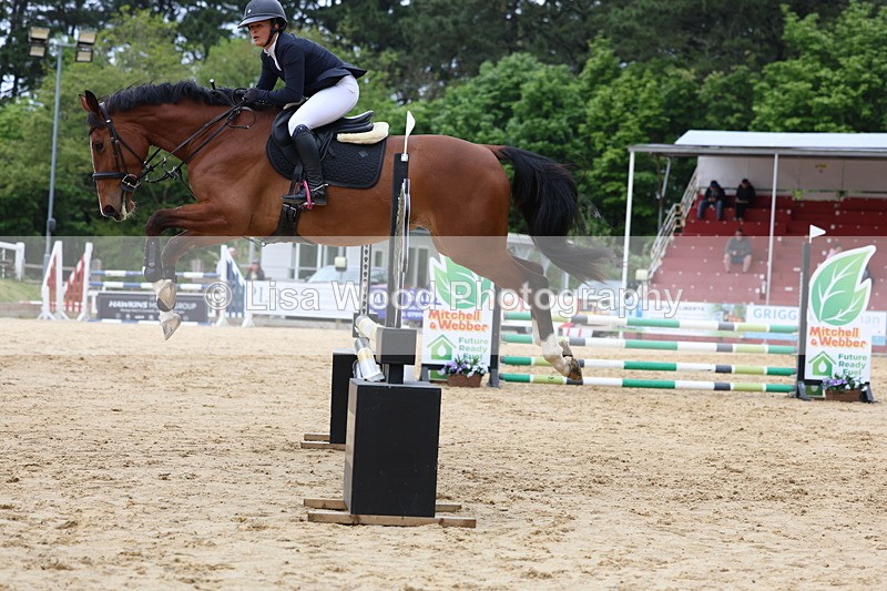 3E7A6182 - Class 4: Senior British Novice/90cm open