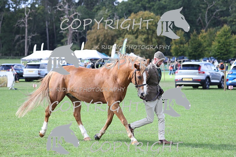 APP_3024 - Class 10a/b M&M in hand