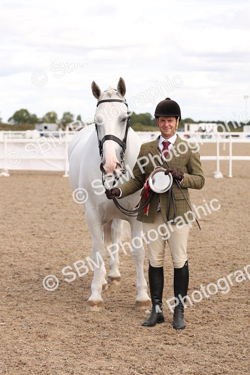 SBM_14723 - Class 208 - IH Veteran Horse