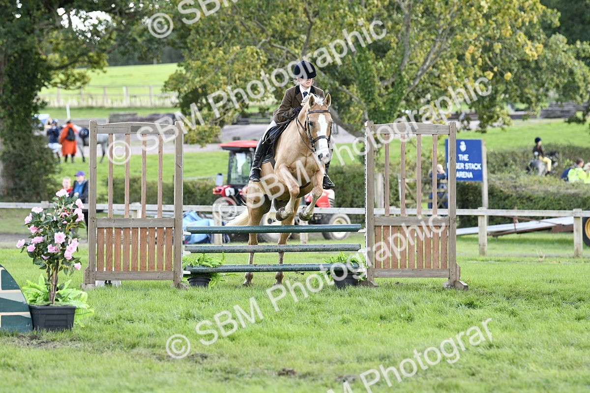 SBM_49951 - S34 - Novice & Newcomers Working Hunter