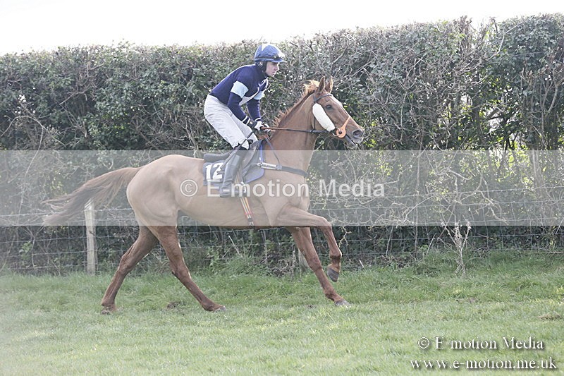 PtP 040218 451 - Point-to-Point Milborne St Andrew 04/02/18