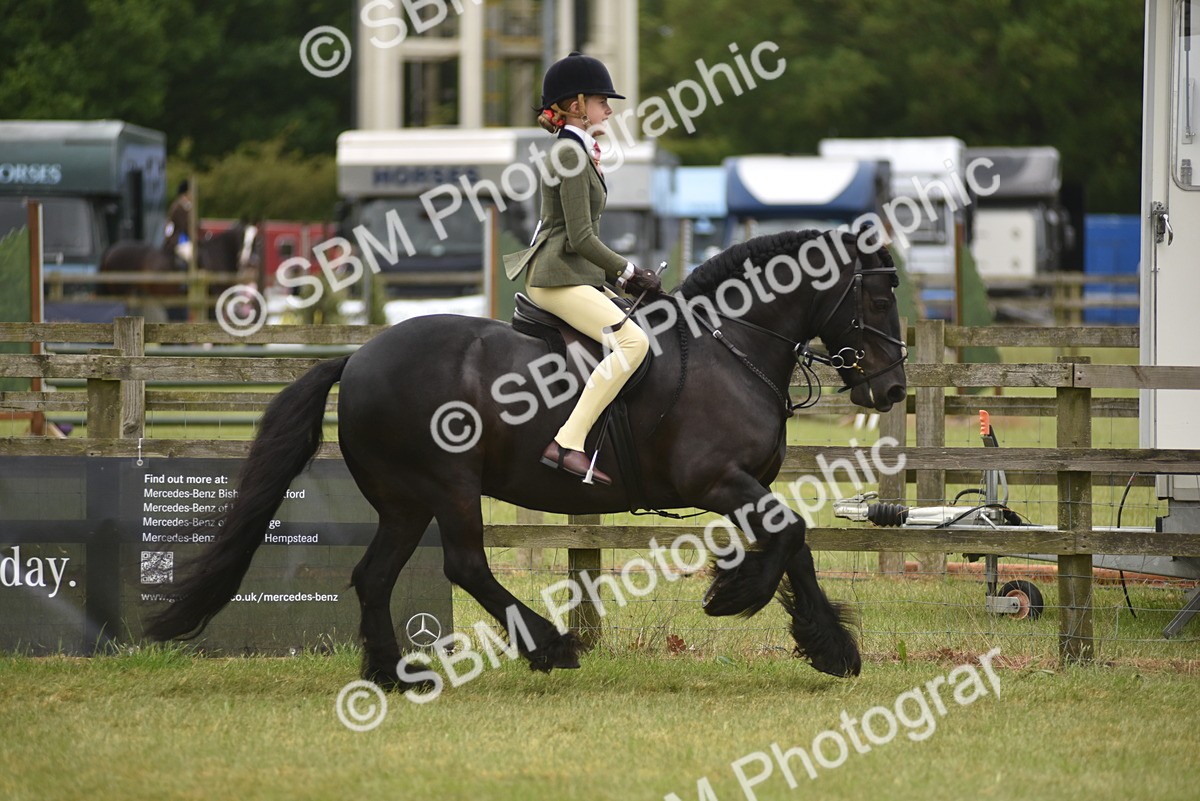 SBM_12007 - Class 110-112 - LIHS BSPS Performance Pones