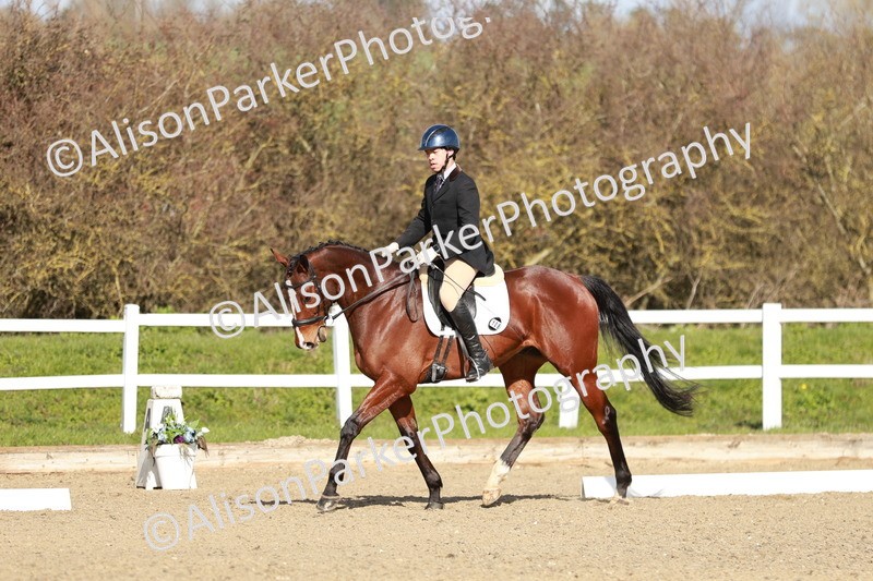 20260314-4390 - DR4 - Prelim 2