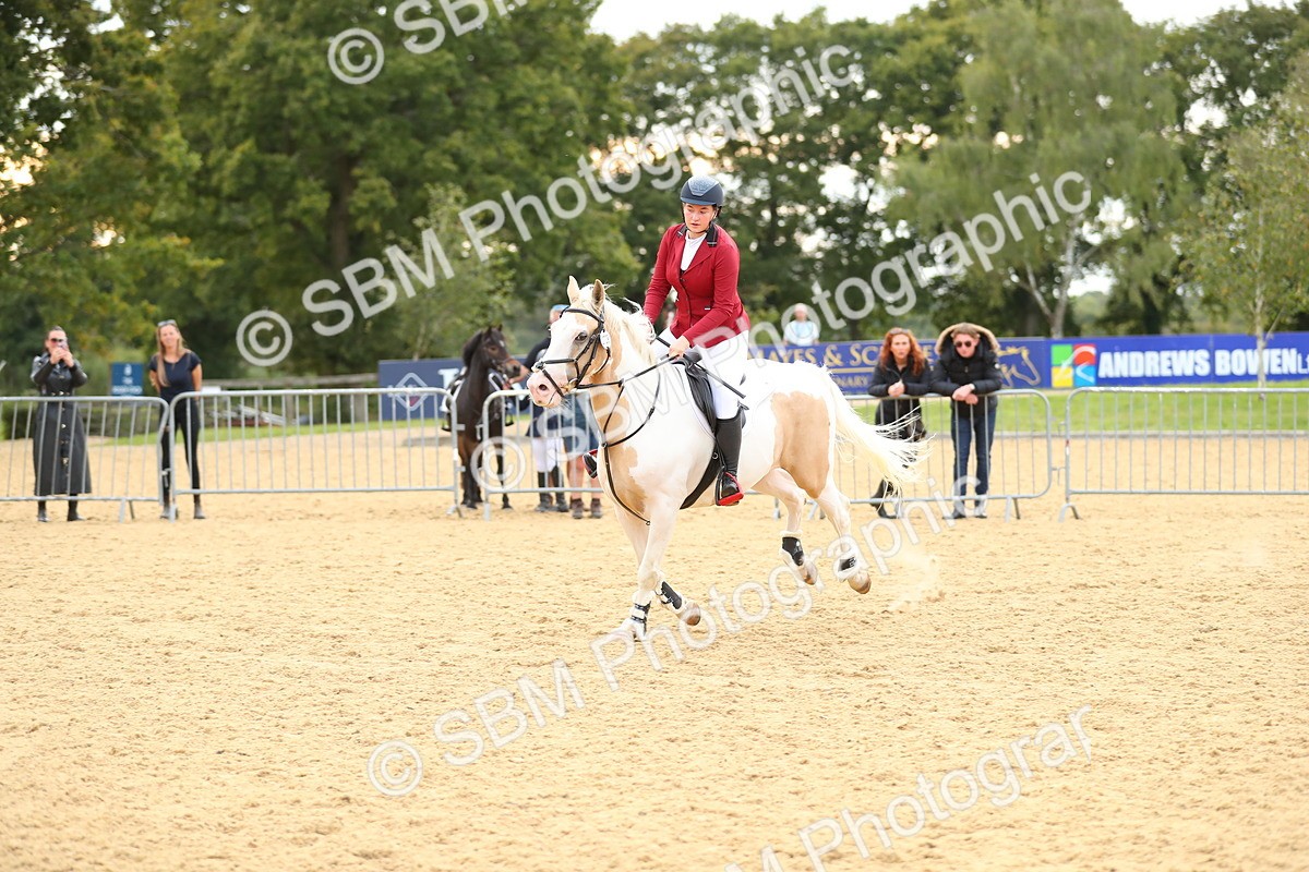 SBM_76202 - J19 - Junior 90cm Supreme Championship
