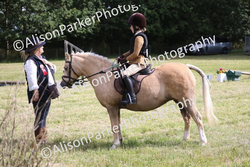 20260614-0469 - Class 20 - Beginners Working Hunter Pony