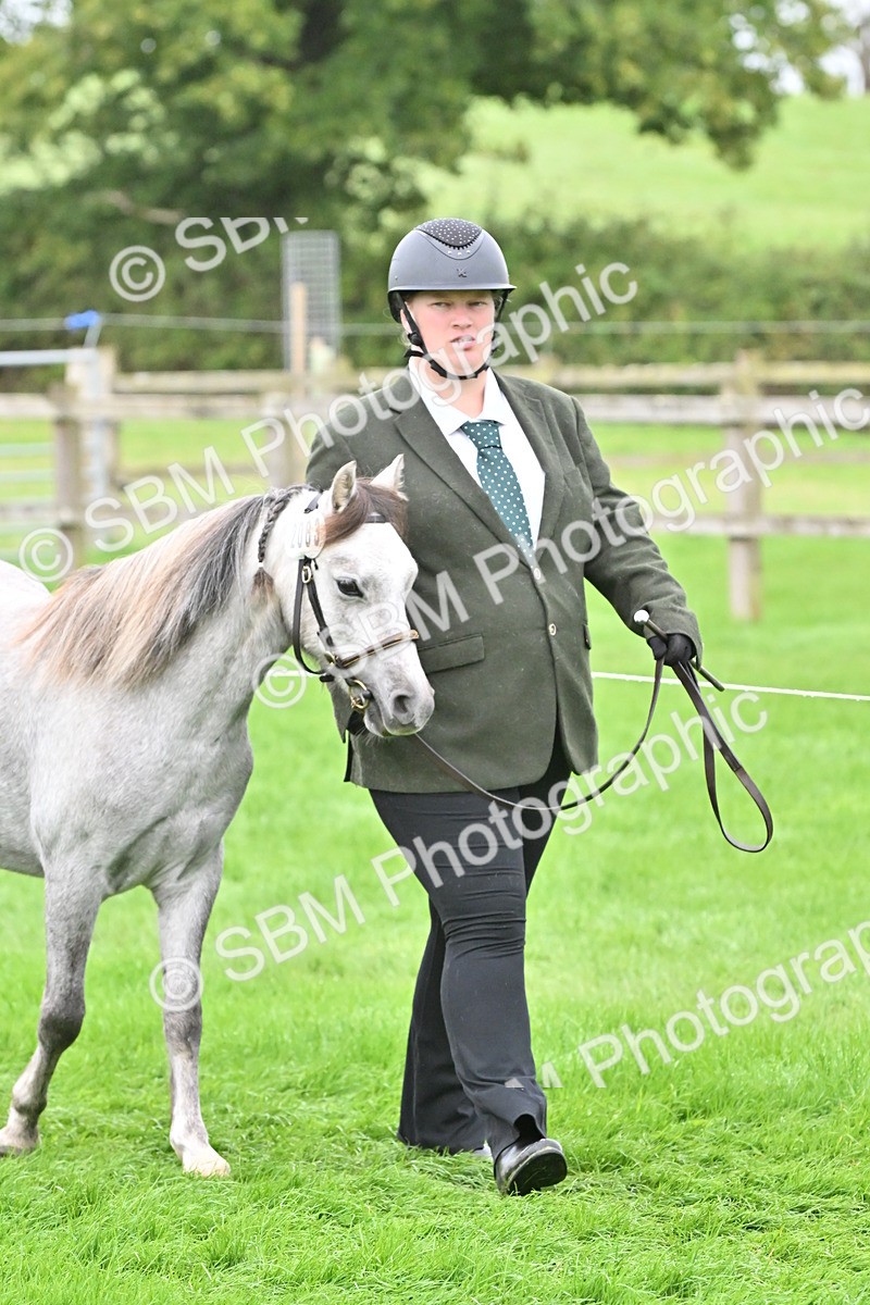 SBM_60922 - S48 - Mountain & Moorland In Hand Small Breeds