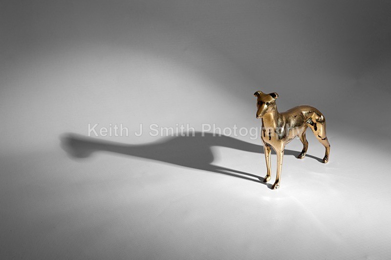 7SKJ3813 - Studio Still Life