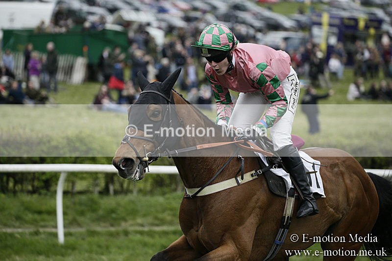 PtP 170417 572 - Old Berks Point-to-Point Lockinge 17/04/17
