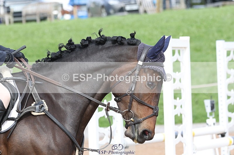 230923A-135318-02564 - 80 SJ Start to 14.30