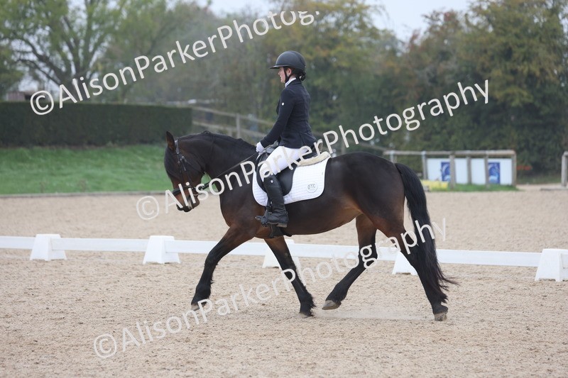 20251012-0522 - Class 4 - Novice 6