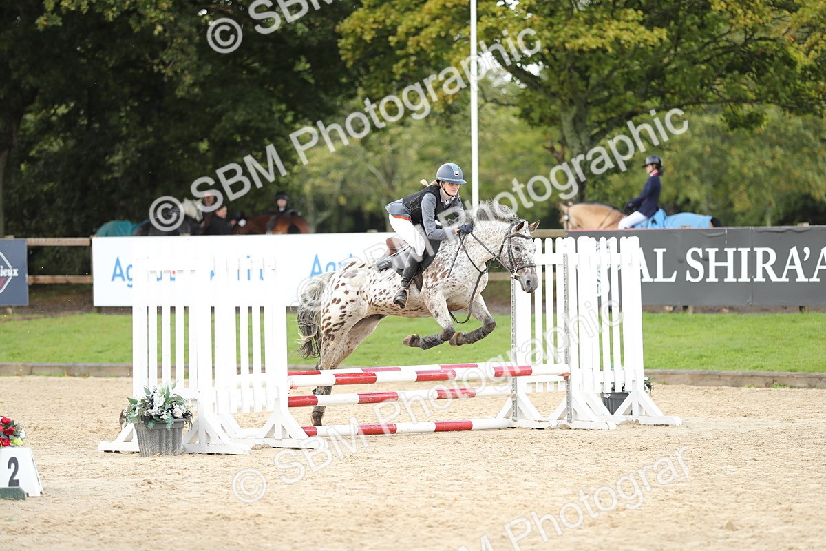 SBM_40271 - J21 - Junior Horse 60cm Championship