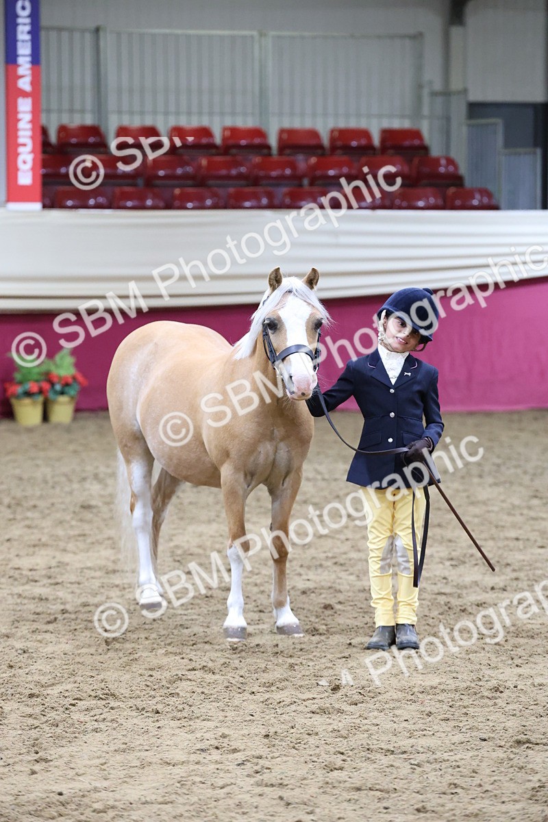 SBM_19979 - Class A - Junior Champ 10yr and Under