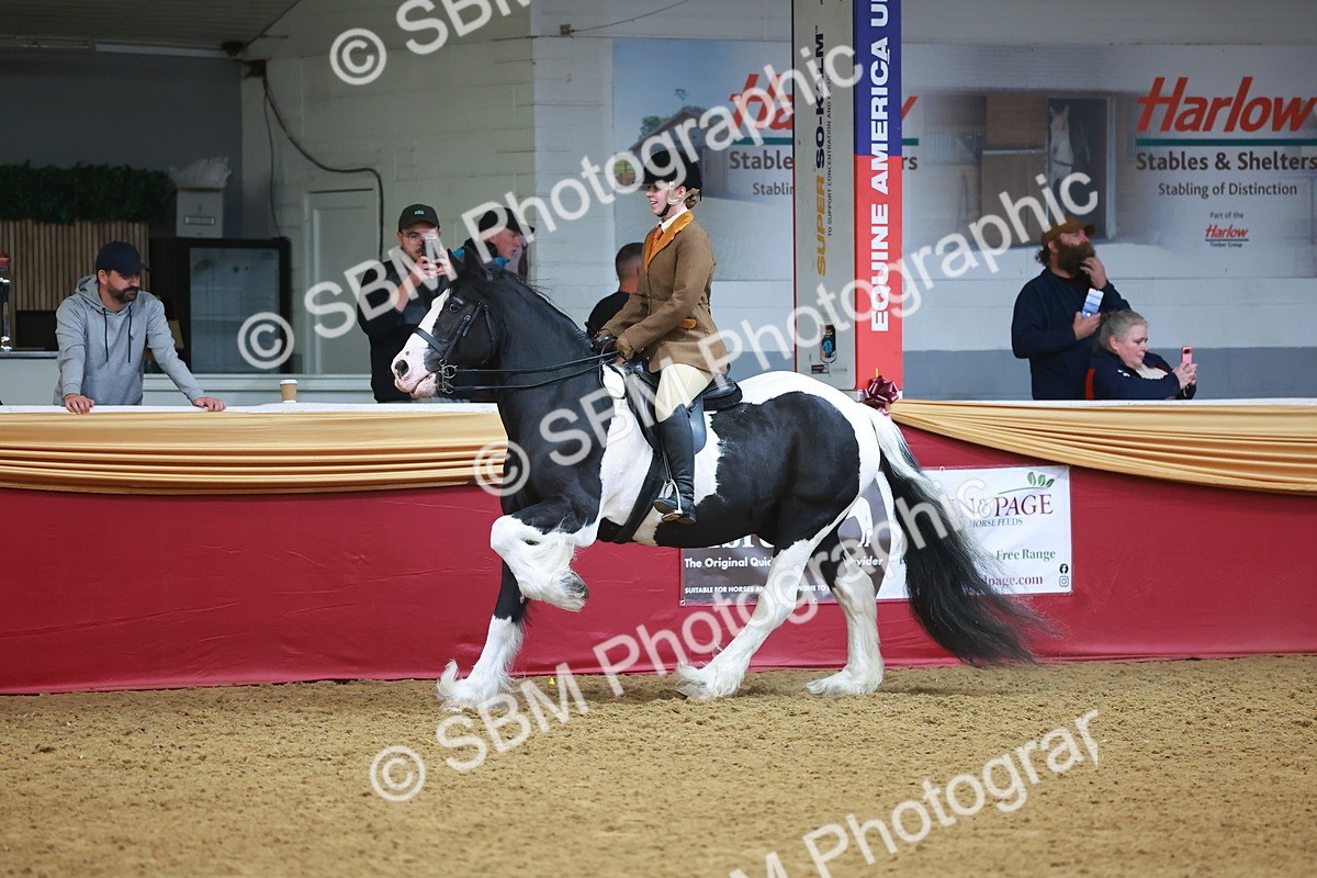 SBM_09736 - Class 102 - HOYS Veteran Qualifier - Ridden Veteran