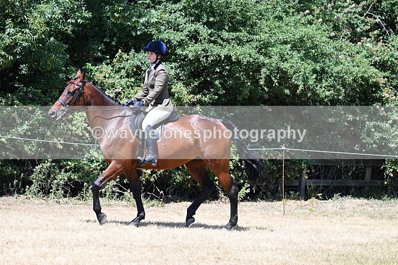 WJ7_2764 - Class 7 Riding Club Show Horse