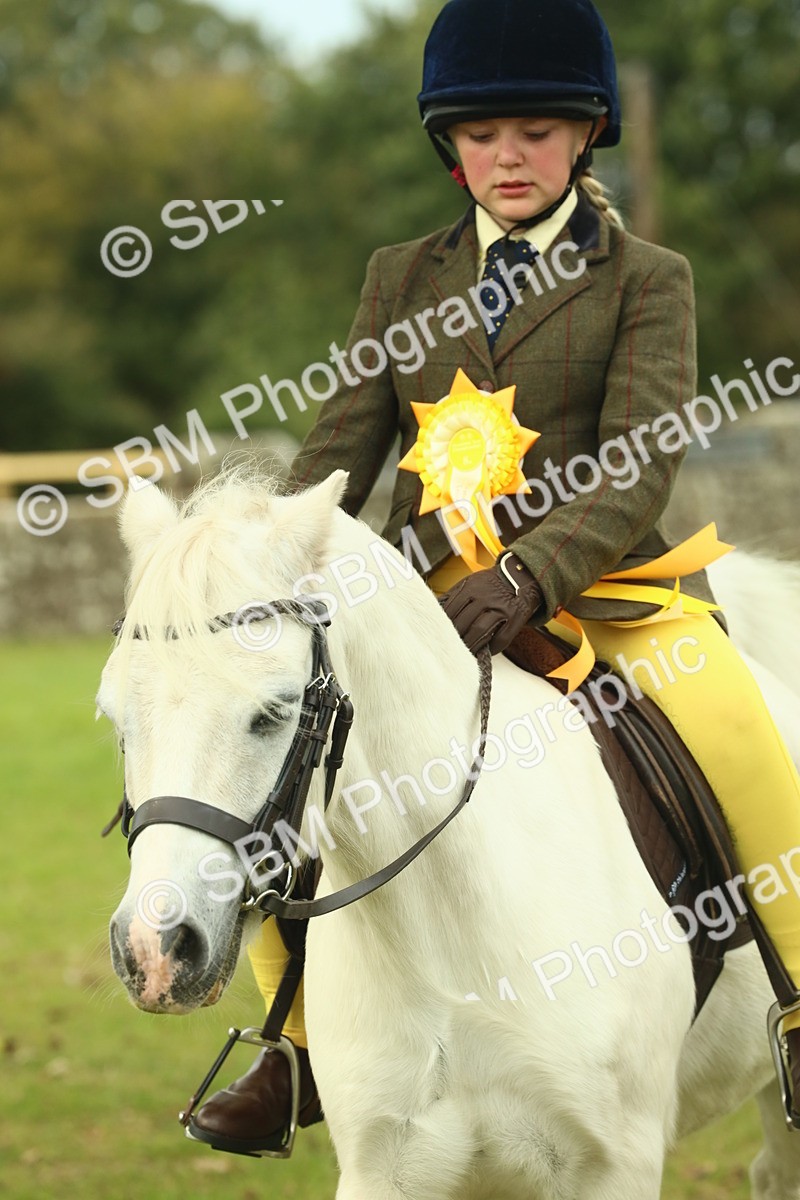 SBM_70055 - S59 - Mountain & Moorland Ridden Small Breeds