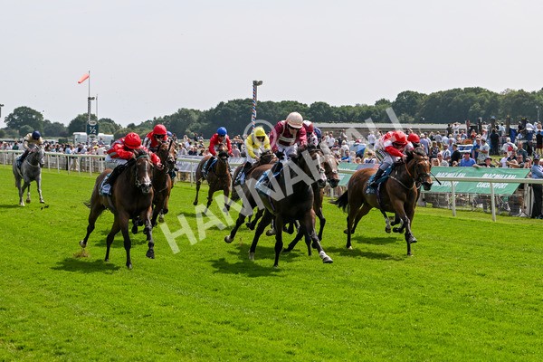 130625-Race 3-Easy Peeler-9017 - Race 3 3.00pm British EBF Supporting Racing With Pride Fillies' Handicap