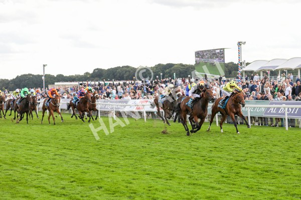 230824-Race 7-Treasure Time-8563 - Race 7 5.20pm Sky Bet Mile Handicap