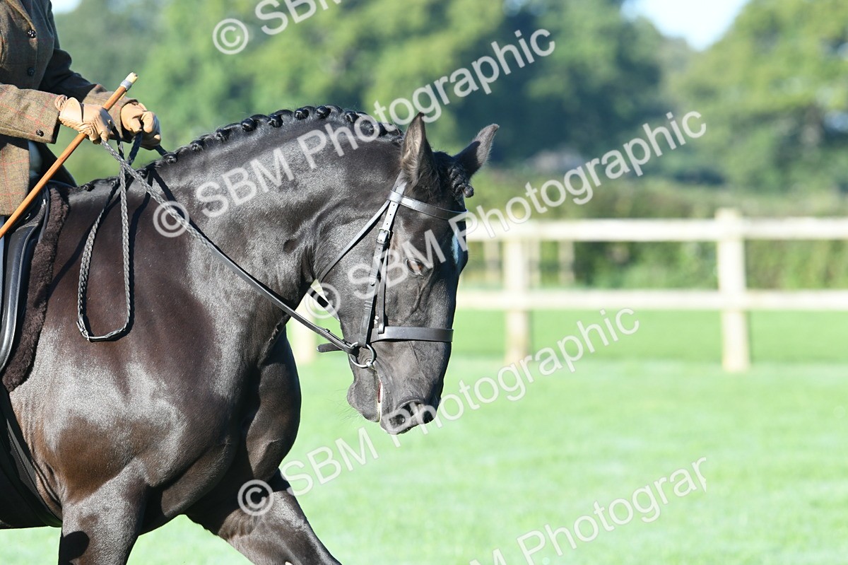 SBM_33879 - S16 - Condition & Turnout - Ridden