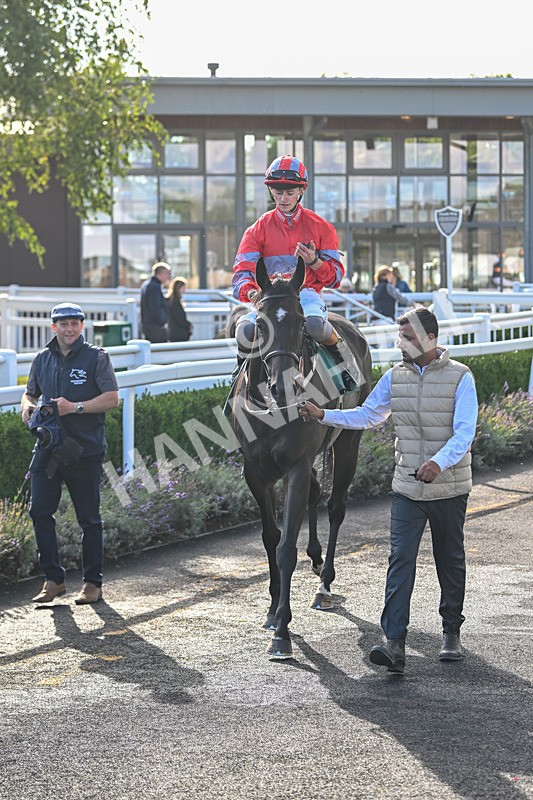 090925-Race 5-Dream Deal-9280 - Race 5