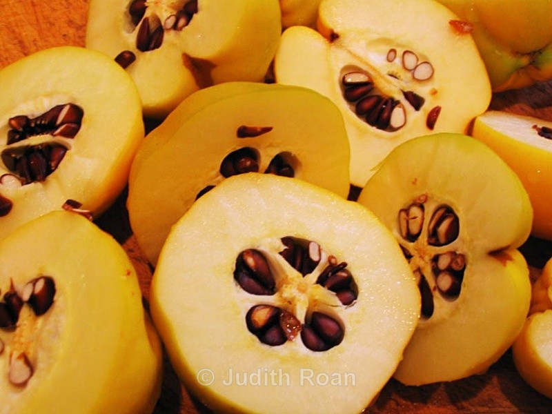 Quince-6 - Quince Jelly