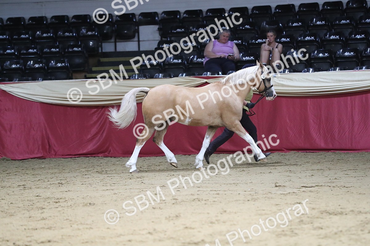 SBM_06284 - Class 9R Regional- IH Pre Vet