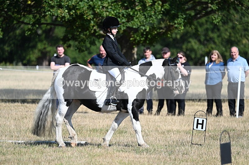 WJ7_9402 - Time 10:08 to 10:13