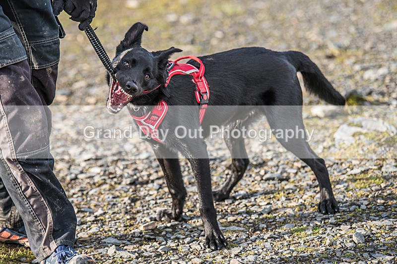 Blencathra-19 - Blencathra Fell Race Wednesday 5th June 2024