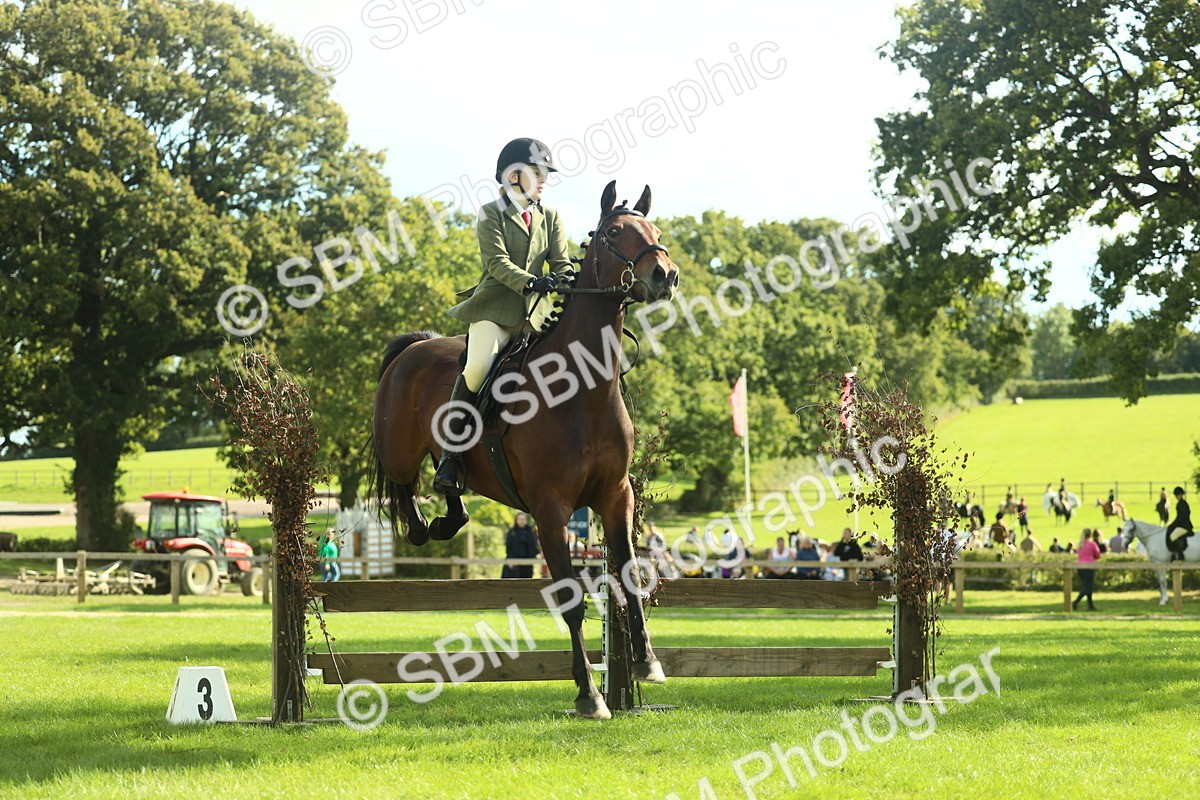 SBM_48088 - S32 - Novice & Newcomers Working Hunter