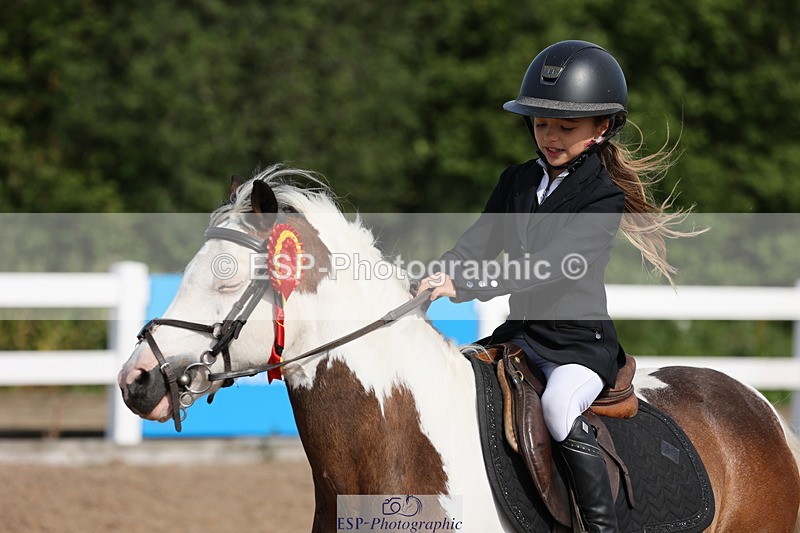 240629A-091917-02913 - Cls 16 British Novice and 80cm Open