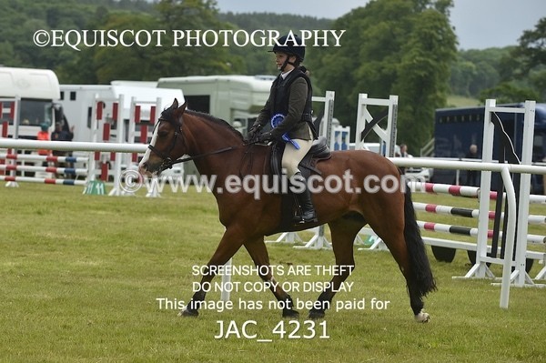 JAC_4231 - WORKING HUNTER CHAMPIONSHIP