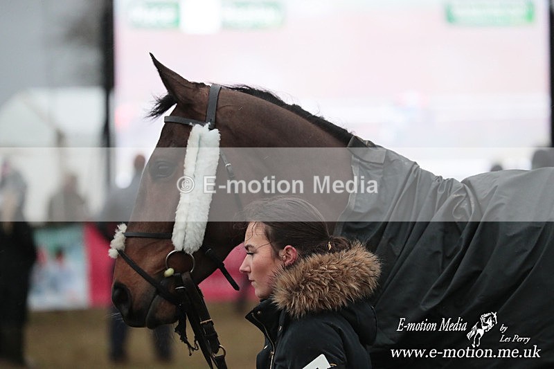PtP 260125 973 - Cocklebarrow Point-to-Point racing with the Heythrop Hunt 26/01/25