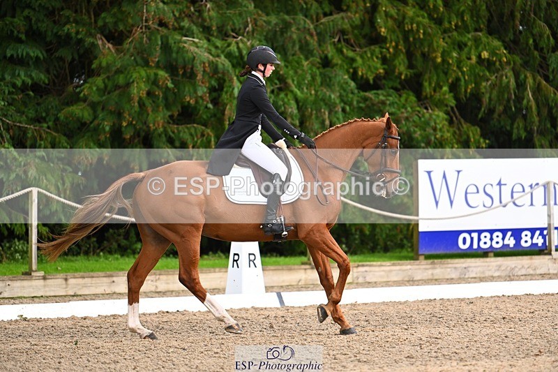 231021-162145-21107 - 265-EG.TIGER.CHILLI-Tayla.Mason-DR