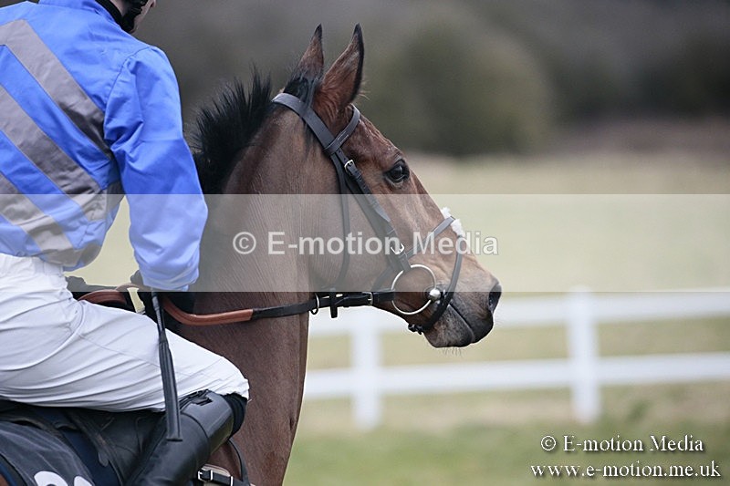 PtP 180218 335 - Combined Services Point-to-Point Larkhill 18/02/18