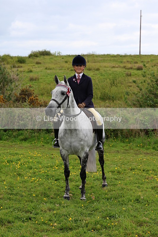 3E7A2122 - Class 11: Ridden Arab