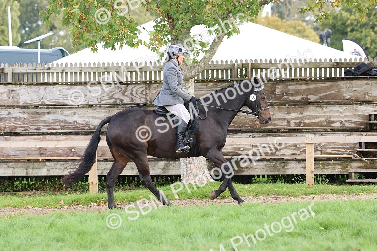 SBM_47670 - S28 - Veteran Ridden