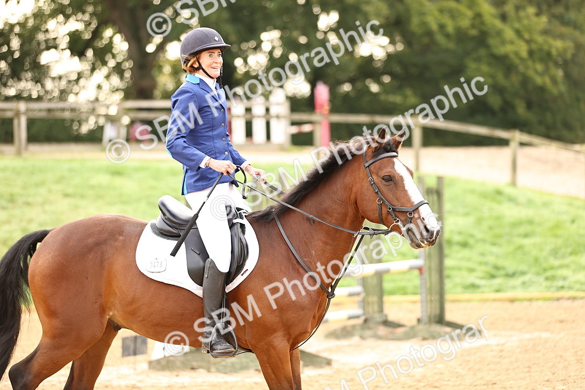 SBM_58247 - J41 - Grand Tour Horse & Pony 95cm