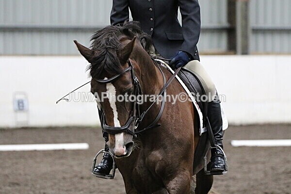SIAL4642 - CAbin Dressage 5th july 2025