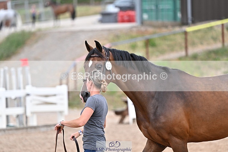 250716-164732-00764 - Trot Up 4.30 to 5.00