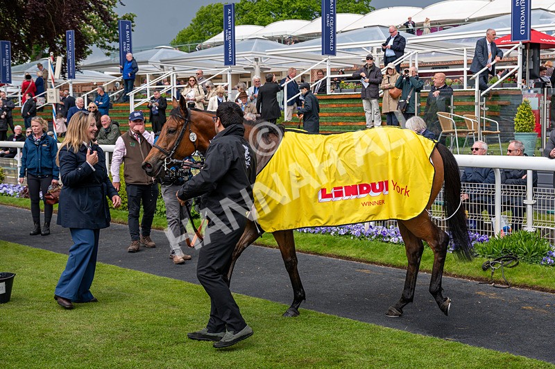 140526-Race 2-Jakajaro-1126 - Race 2 2.20pm Lindum York Handicap
