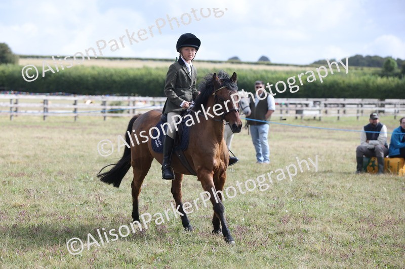 20250831-1136 - Class 15 - Ridden Veteran