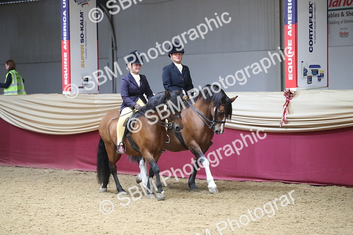 SBM_13631 - Class 109 Ridden Pairs - Section B