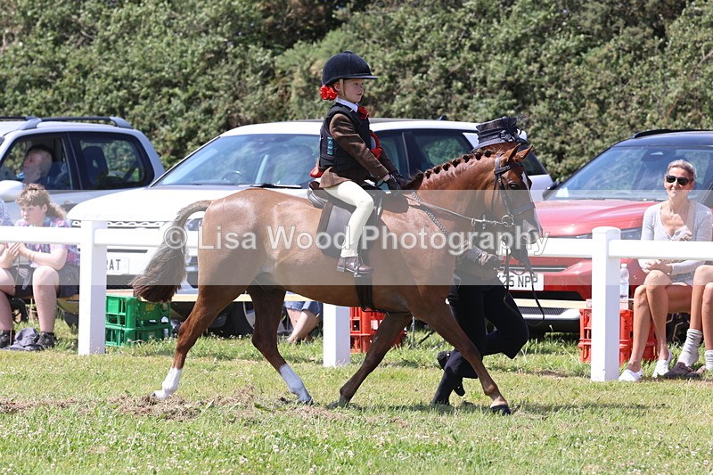 JPP_2394 - Class 20: Tiny Tots Working Hunter Pony