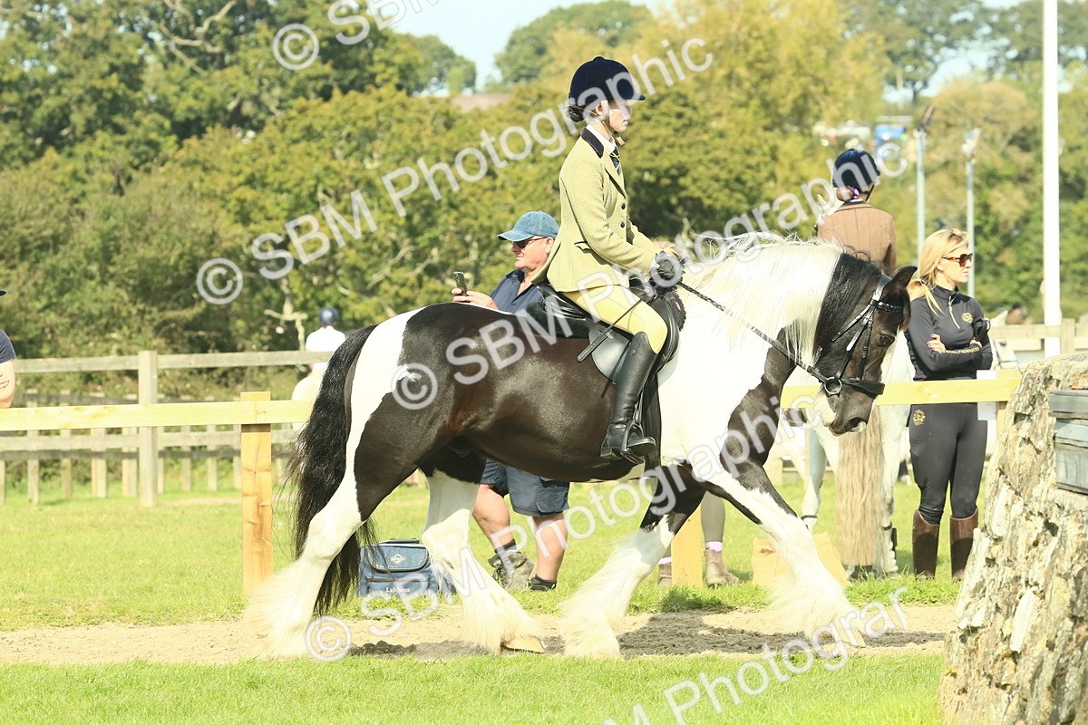 SBM_67421 - S56 - Coloured Pony Ridden