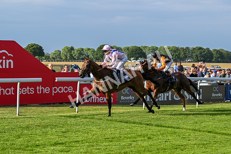 170625-Race 2-Gloriously Sassy-6087 - Race 2