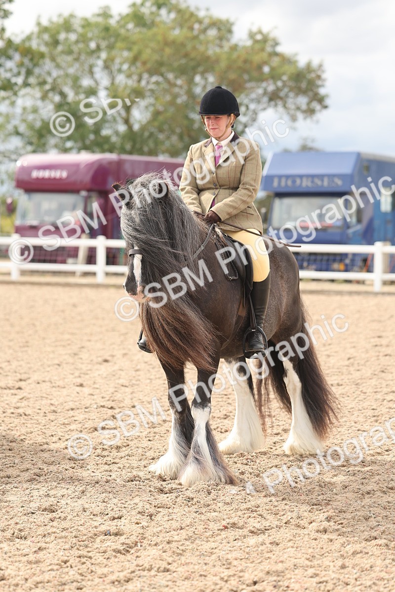 SBM_18038 - Class 314 - Family Horse Pony