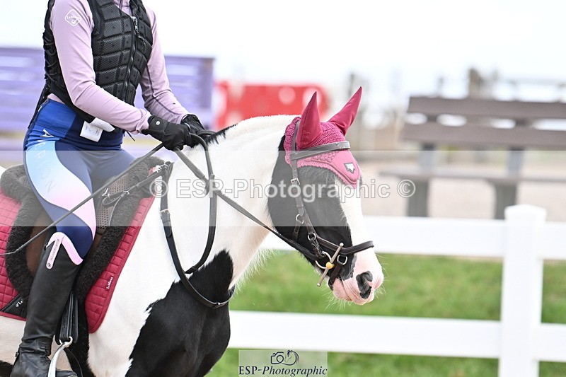 250821B-121550-00376 - Group D - Thomasina