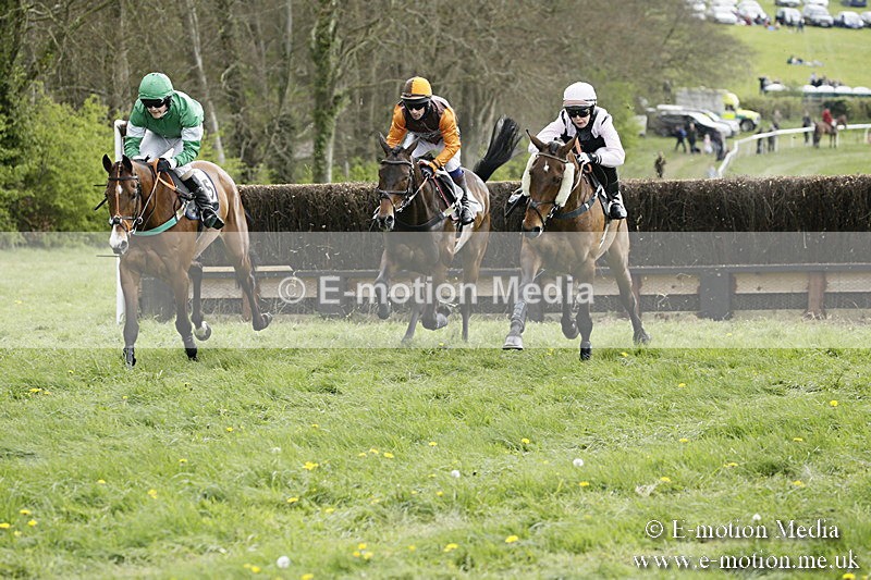 PtP 170417 169 - Old Berks Point-to-Point Lockinge 17/04/17