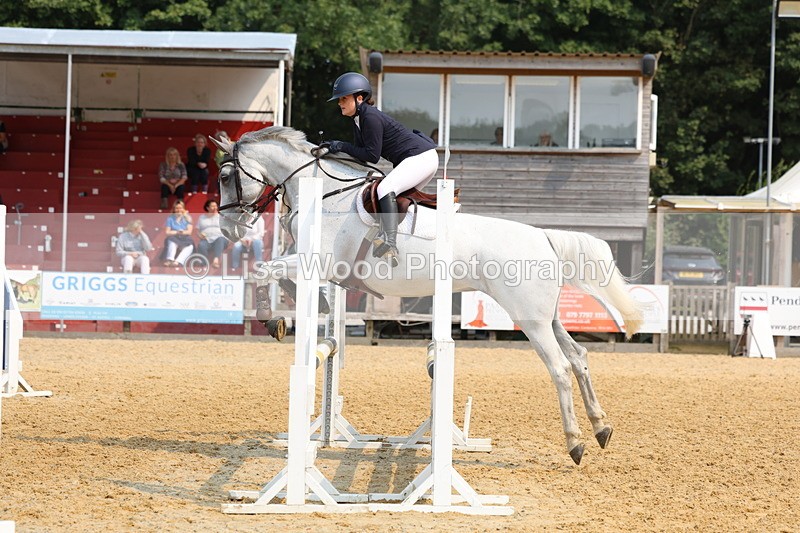 3E7A1332 - Class 4: Senior British Novice/90cm open